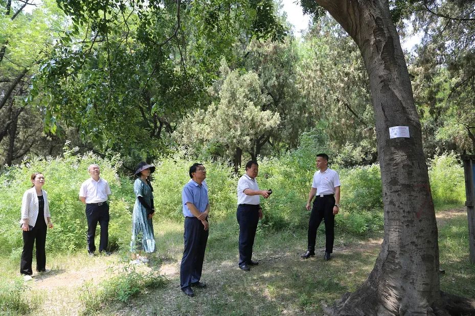 微信图片_20220620092543.jpg 微信图片_20220620092543.jpg